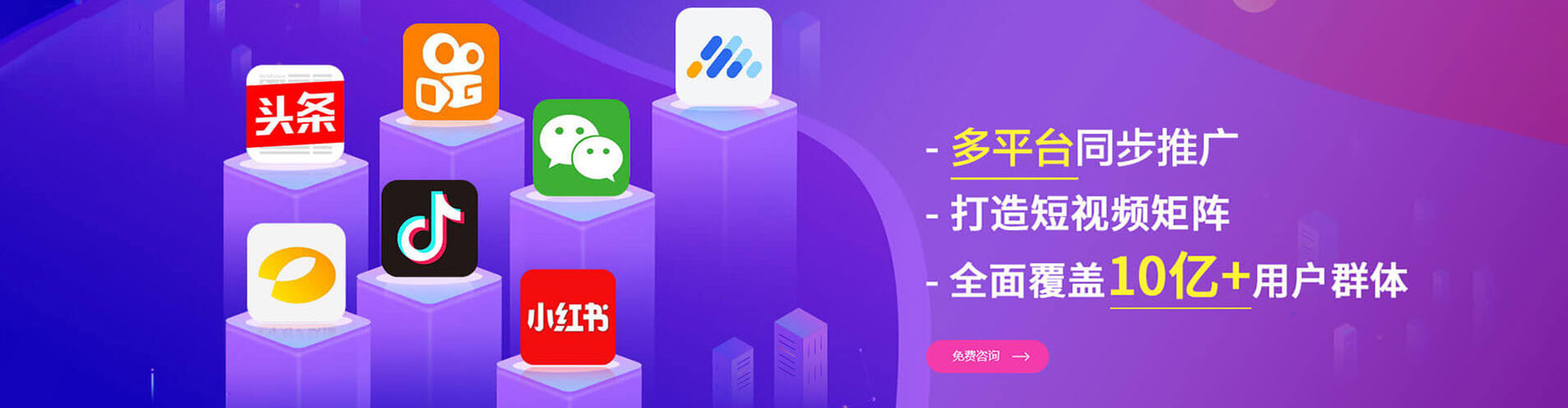 沧县信息流大师
